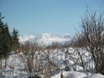 39165 SUCHAVIEW Road Homer, AK 99603 - Image 1136579