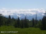 52591 Apricity Avenue Homer, AK 99603 - Image 1136580