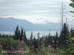 L2 Marimac Avenue Homer, AK 99603 - Image 1136578