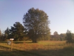 Lot 7 Block 1 Country Estate Phase 1 Camden, AR 71701 - Image 1137978