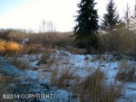 42175 Sterling Highway Homer, AK 99603 - Image 1139420