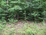 0 CO RD 127 Bremen, AL 35033 - Image 1139809