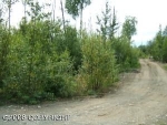 14444 W Siesta Big Lake, AK 99652 - Image 1142588