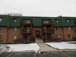 1992 Tall Oaks Dr Unit #3A Aurora, IL 60505 - Image 1142570