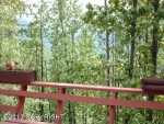 22243 Lake View Drive Eagle River, AK 99577 - Image 1143970