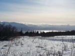 L1 Alpine Meadows Drive Homer, AK 99603 - Image 1144323