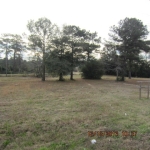 South Highway 85 Level Plains, AL 36322 - Image 1144945