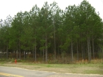 000 BJ Mixon Cottonwood, AL 36320 - Image 1144942