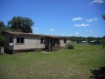 6175 Green Pond Rd Polk City, FL 33868 - Image 1146439