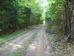 CR 3020 Coal Hill, AR 72832 - Image 1148351