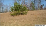 Lot 10 Chula Vista Ridge Drive Decatur, AL 35603 - Image 1148438