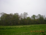 COUNTY ROAD 1598 Baileyton, AL 35019 - Image 1149227