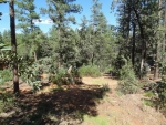 249 Mogollon Vista Payson, AZ 85541 - Image 1150290