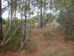 5  CRACKED CRAB CT LOT Okatie, SC 29909 - Image 1151045