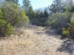 0 Cold Springs Rd Angwin, CA 94508 - Image 1151708