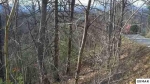 Lot 575 Silver Poplar Ln Sevierville, TN 37862 - Image 1152712