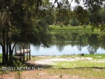 127 Lake Carleton Dr Melrose, FL 32666 - Image 1164148