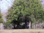 226 Mack Rd Ravenden, AR 72459 - Image 1164660