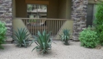 5450 E Deer Valley Drive #1213 Phoenix, AZ 85054 - Image 1164967