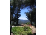 364 Ridge Way Carmel Valley, CA 93924 - Image 1178854