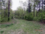 1 LEGGETT RD Sale Creek, TN 37373 - Image 1190482