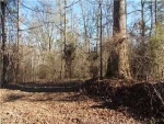 Whippoorwill Drive, 4.7 AC Hayden, AL 35079 - Image 1208384