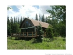 330 Gold Run Rd Alma, CO 80420 - Image 1211874