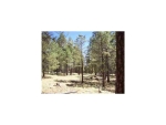 1C Coconino Forest Rd137A Parcel 4 Payson, AZ 85541 - Image 1215508