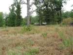 Tract 1 Or 2 Davey Lane Ln Mountain Home, AR 72653 - Image 1224992