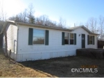 249 Patton Mountain Rd Pisgah Forest, NC 28768 - Image 1225326