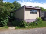 11711 Bunkerhill #44 Pleasant Lake, MI 49272 - Image 1226559