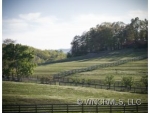 5911 Big Level Rd Mill Spring, NC 28756 - Image 1226693