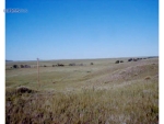 7275 Country Road 126.5 Carr, CO 80612 - Image 1227202