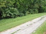 Lot 21, Rolling Meadows Drive Garfield, AR 72732 - Image 1230278