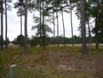 LOT 368 BARLEYS GROVE Okatie, SC 29909 - Image 1231452