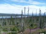 L3 Mel Drive Homer, AK 99603 - Image 1232067