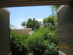 2233 E Highland Ave Unit 220 Phoenix, AZ 85016 - Image 1233473