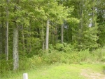 Lot 18a Cliffs At Walnut Cove  (Apn Arden, NC 28704 - Image 1238480