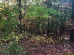 LOT 65 KEOWEE VINEYARDS AT CLIFFS Sunset, SC 29685 - Image 1241934