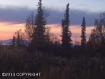 L2A B1H RABBIT CREEK VIEW & HEIGHTS Anchorage, AK 99516 - Image 1243922