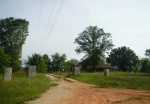 County Road 290 Lafayette, AL 36862 - Image 1245516