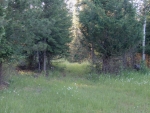 NNA Roop Rd Cocolalla, ID 83813 - Image 1247780