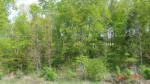 0 Hwy 72 Cherokee, AL 35616 - Image 1251398