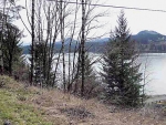 0 Jones Rd Lot 1400 Sweet Home, OR 97386 - Image 1251647