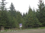 862 Ocean Drive Loop Homer, AK 99603 - Image 1251987