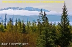 54475 Rolling Meadows Homer, AK 99603 - Image 1251992