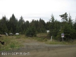 824 Ocean Drive Loop Homer, AK 99603 - Image 1251988