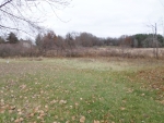 11850 Kimler Rd Springport, MI 49284 - Image 1252682