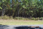 XXX NW 10Th Avenue- LOT Trenton, FL 32693 - Image 1264859