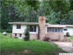 7121 County Highway 47 Blountsville, AL 35031 - Image 1300634